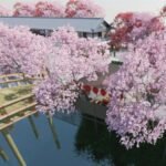 EscapeGame Edo Cherry Blossom MOD APK v1 Unlimited Money