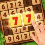 Woodber – Classic Number Game MOD APK v2.7.1 Unlimited Money