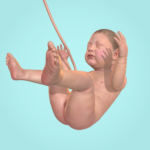 Idle 9 Months MOD APK 1.41.3 (Unlimited Money)