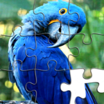 Jigsaw Puzzles – Puzzle Games MOD APK v3.177 Unlimited Money