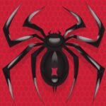 Spider Solitaire MOD APK 7.5.4.4803  (Premium)