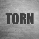 TORN MOD APK v2.2.30 Unlimited Money