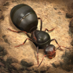 The Ants MOD APK 3.69.0 (Unlimited Money)