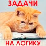 1000 . MOD APK v1.105 Unlimited Money