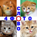 4 Фото 1 Слово MOD APK 1.76 (Unlimited Money)