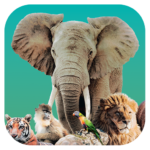 Ark Nova MOD APK v1.0.2 Unlimited Money
