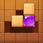Block Sudoku MOD APK v1.5.4 (Unlimited Money)
