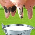 Farm Milk The Cow MOD APK 3.0.2 (Unlimited Money)
