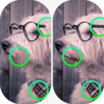 Spot the Difference Delight MOD APK v2.5 Unlimited Money