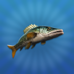 True Fishing 2 Online 3D MOD APK v1.8.3 Unlimited Money