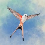 Wingspan MOD APK 1.7.788 (Unlimited Money)