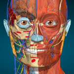 Anatomy Learning  3.1.467 APK (MOD, Premium)