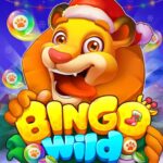 Bingo Wild-Classic Bingo Games MOD APK v1.4.5 Unlimited Money