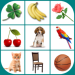 Brain game. Picture Match. MOD APK v2.5.5 Unlimited Money