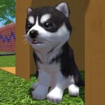 Cute Pocket Puppy 3D – Part 2 MOD APK v1.10.2 Unlimited Money