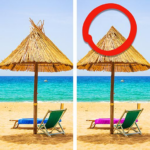 Difference Find Tour MOD APK v3.1.83 Unlimited Money
