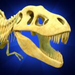 Dino Quest 2 Dinosaur Games MOD APK v1.23.30 Unlimited Money