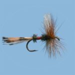 Fly Fishing Simulator MOD APK 1074 (Unlimited Money)