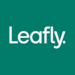 Leafly Find Cannabis and CBD 8.11.0 APK MOD Premium