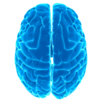 Logical tests – IQ MOD APK v12.31 Unlimited Money