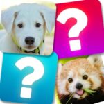 Match Game Animals MOD APK v10.1 Unlimited Money