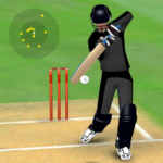 Smashing Cricket MOD APK 4.0.0 (Unlimited Money)