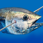Spearfishing Simulator MOD APK v6.3 Unlimited Money