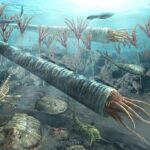 Cameroceras Simulator MOD APK v1.2.1 Unlimited Money