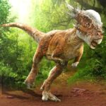 Pachycephalosaurus Simulator MOD APK 1.2.6 (Unlimited Money)